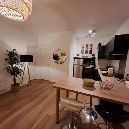 Appartement Le Saint Jean , Centre Historique, Wifi, Equipe, Ideal Famille, Business, Ou Simple Escapade