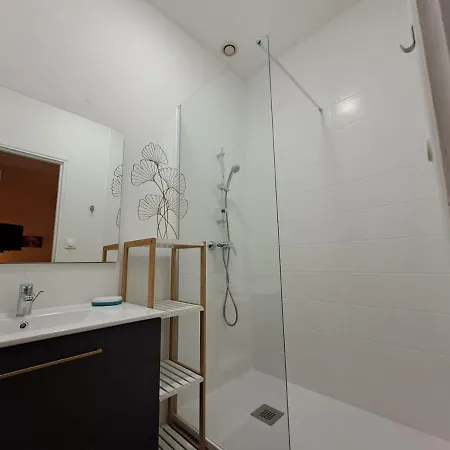 Appartement Le Saint Jean , Centre Historique, Wifi, Equipe, Ideal Famille, Business, Ou Simple Escapade