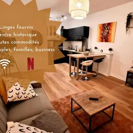 Appartement Le Saint Jean , Centre Historique, Wifi, Equipe, Ideal Famille, Business, Ou Simple Escapade Niort